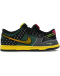 Nike Dunk Low What the Duck Home University of Oregon PE - visuel officiel StockX